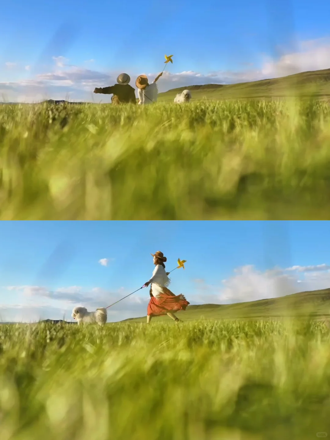 live呼伦贝尔这本书🐶小狗我呀又多读了一页