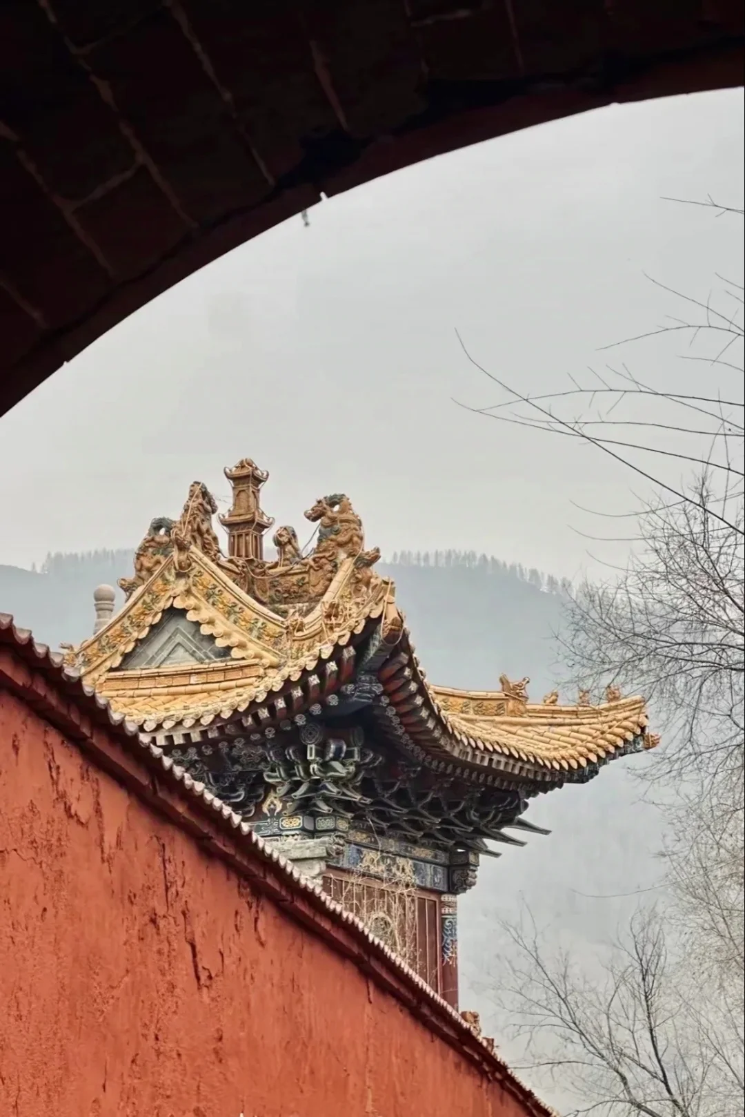 🌟 五台山超全攻略|朝圣、避暑、探秘