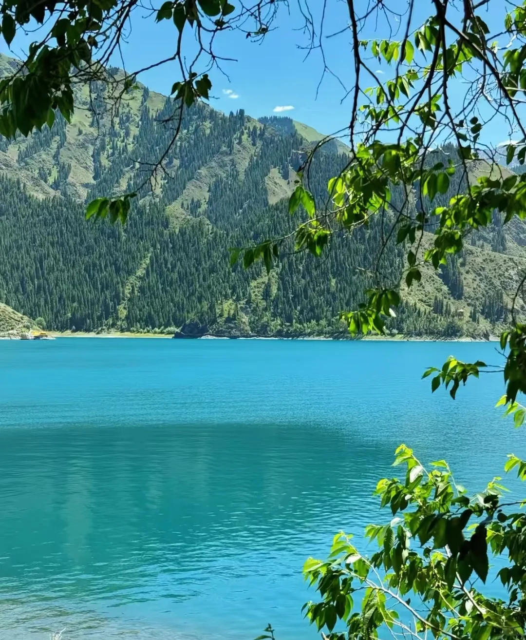 🌿端午限定！天山天池保姆级攻略