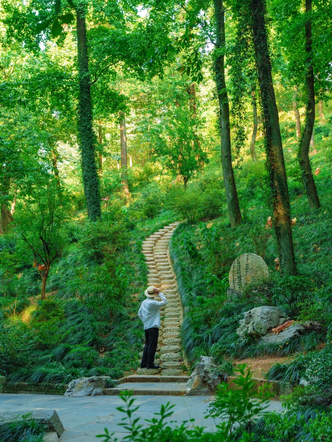 比起苏杭，我更喜爱这个夏日避暑小镇🪷