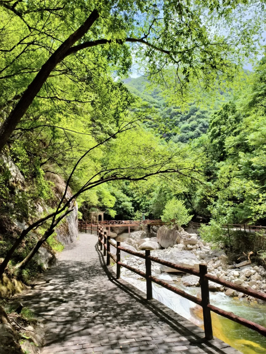 去山里感受20度的夏天🍃