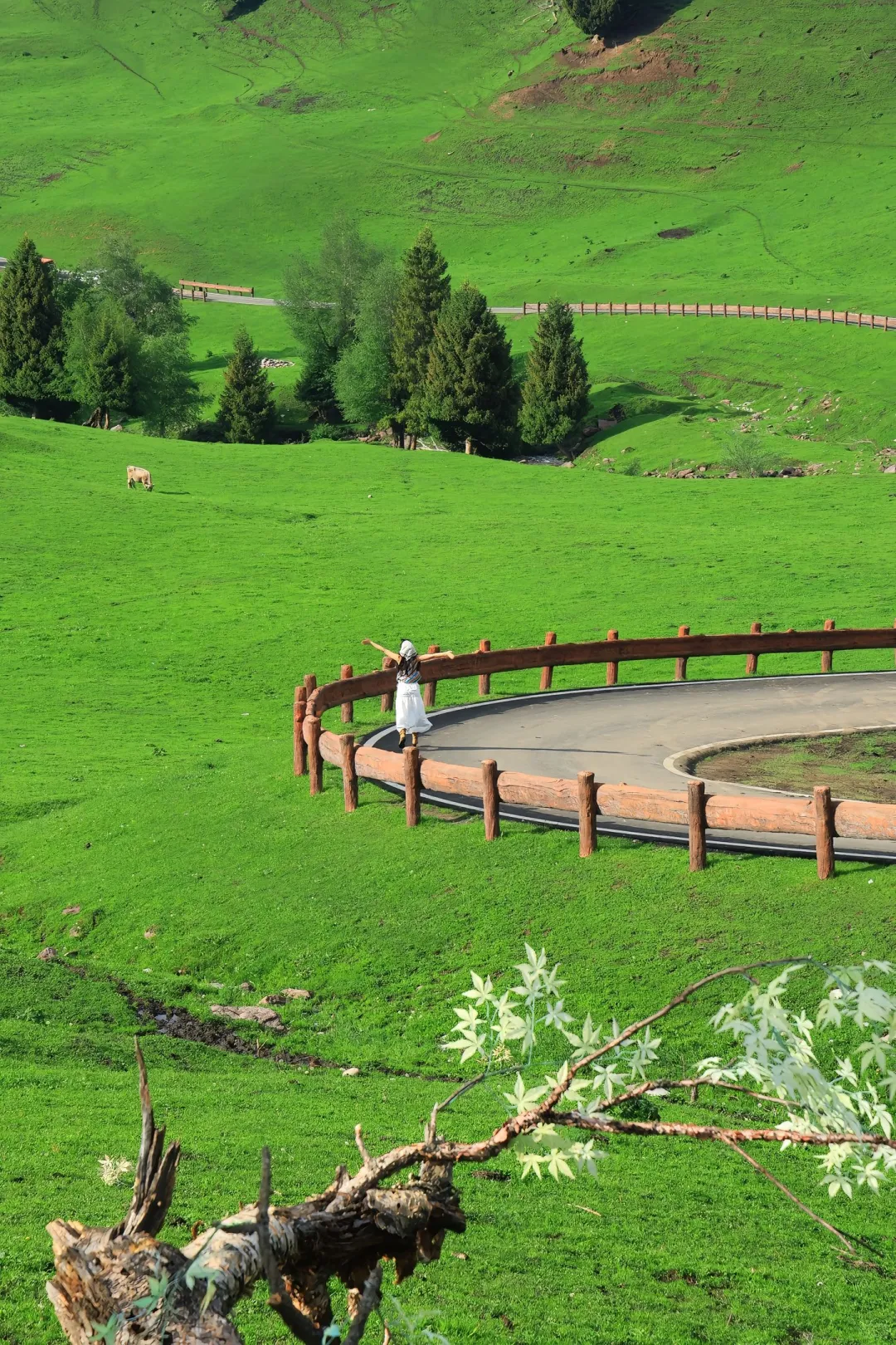 6-8月游新疆┃伊犁轻奢9日游人均仅💰5k✚