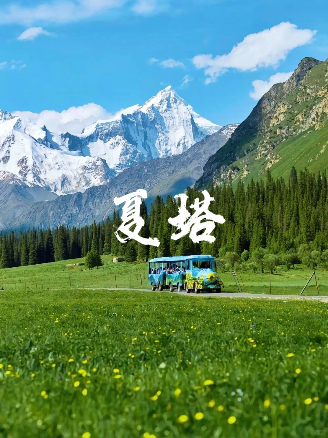 6-8月游新疆┃伊犁轻奢9日游人均仅💰5k✚