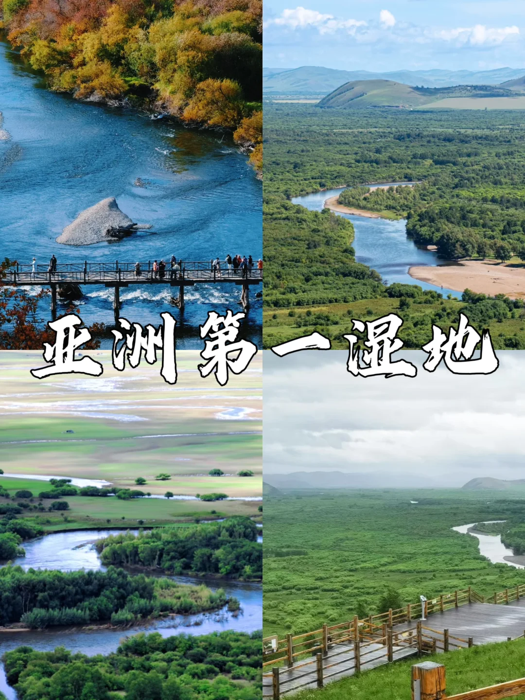 呼伦贝尔七天六晚超详细攻略💯暑假懒人版