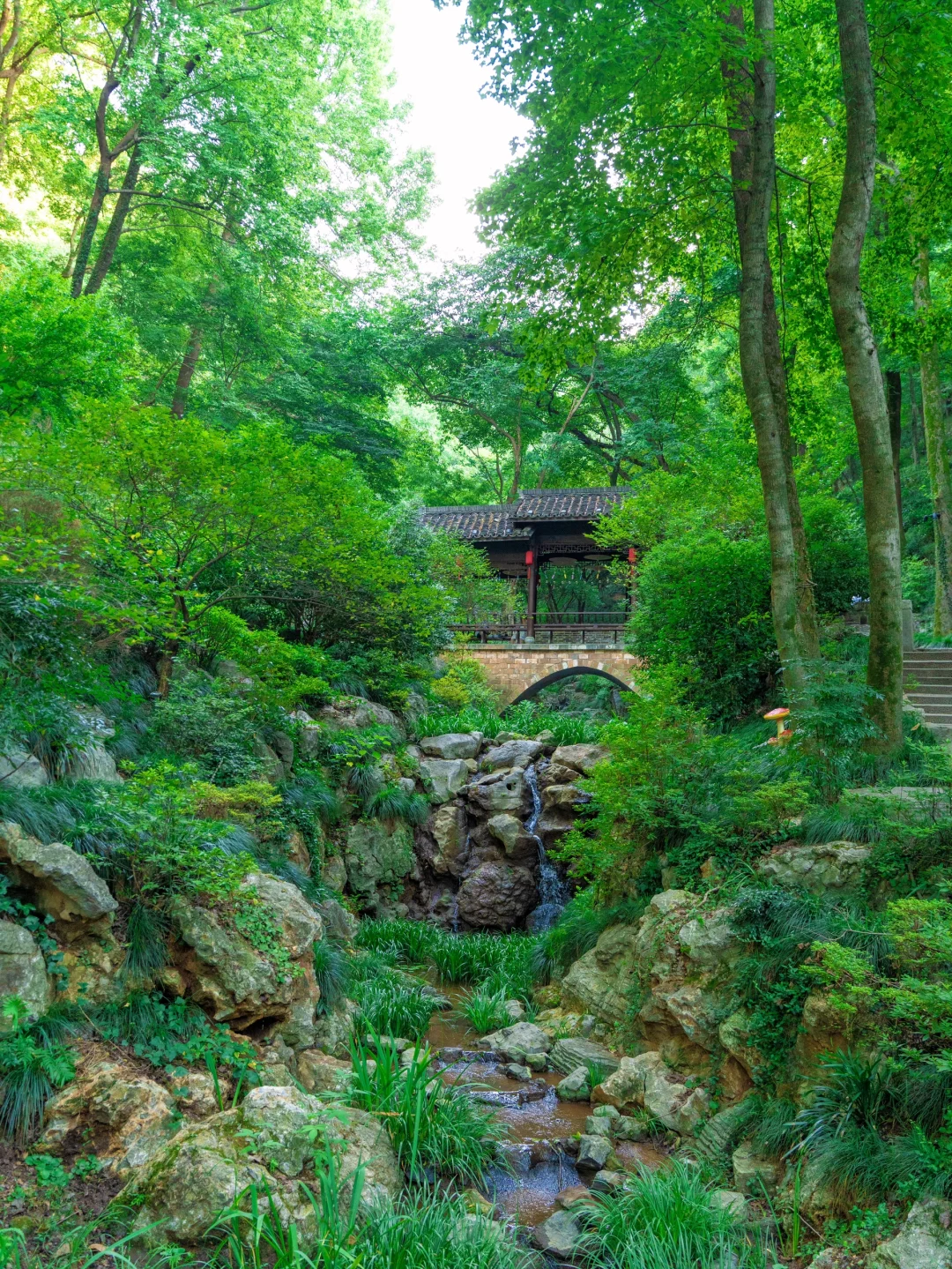 比起苏杭，我更喜爱这个夏日避暑小镇🪷