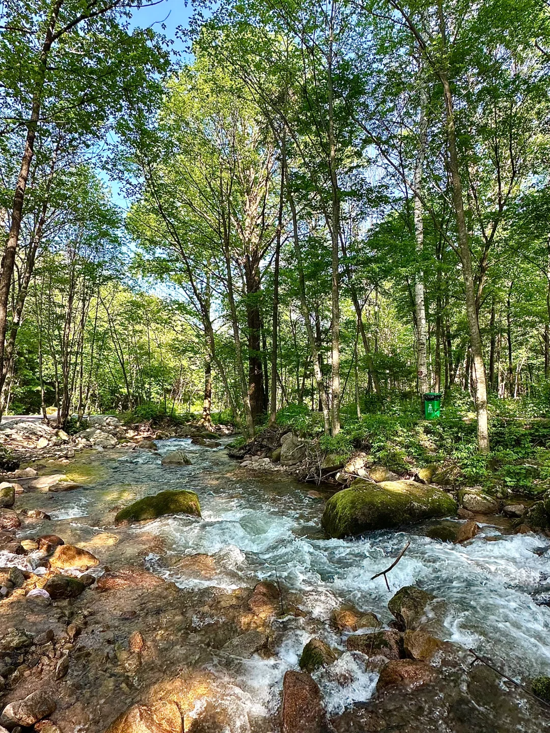 哈尔滨周边|鸳鸯峰一日游保姆级攻略🚗