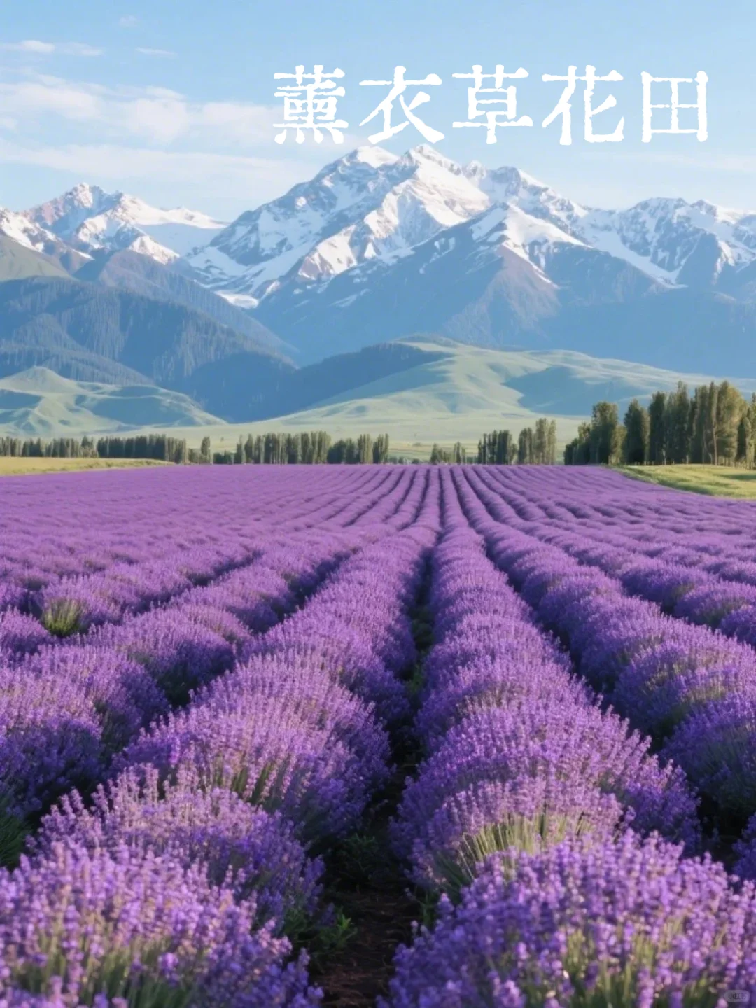 爆玩新疆！这个夏天一起去草原上撒野吧！