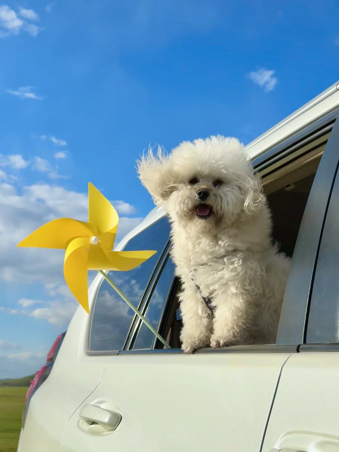 live呼伦贝尔这本书🐶小狗我呀又多读了一页