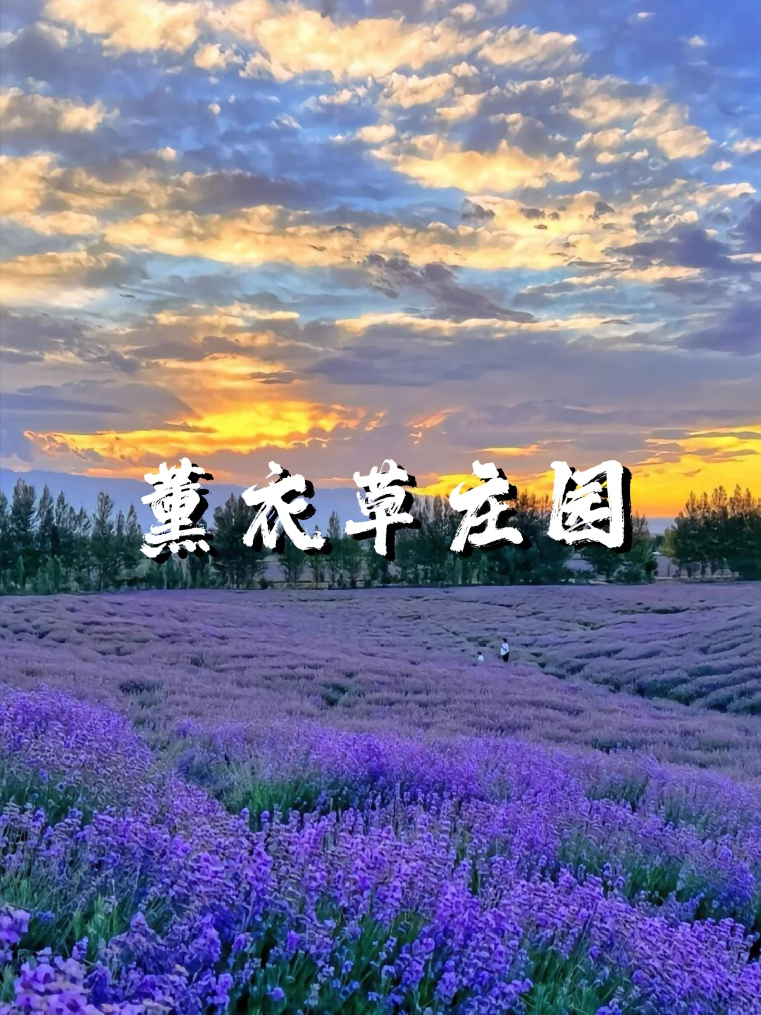 6-8月游新疆┃伊犁轻奢9日游人均仅💰5k✚