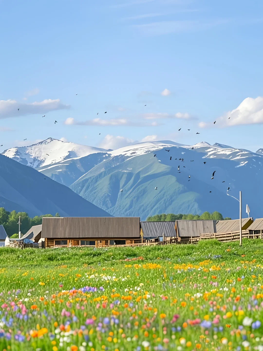 接下来的新疆，一定会刷新你对夏天的想象❗