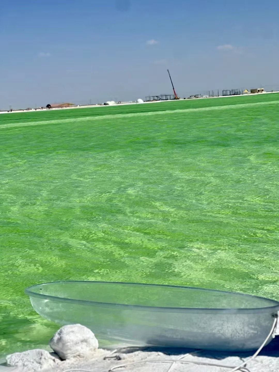 大西北我来过啦