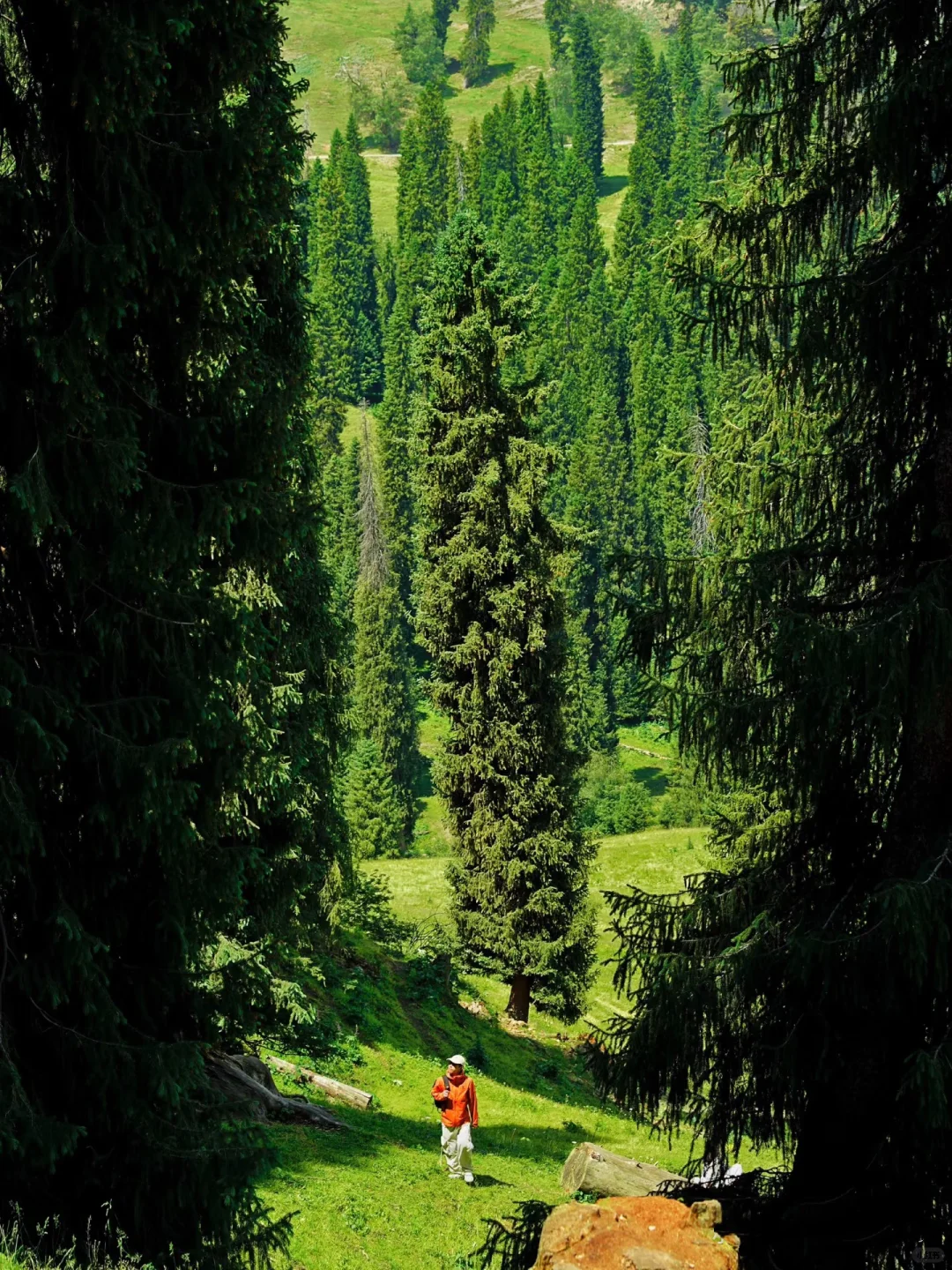 我的生命就应该浪费在这种地方……🍃
