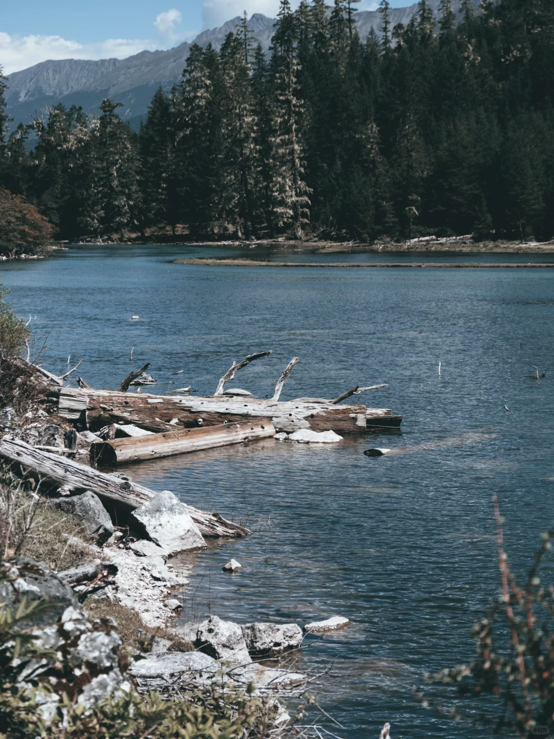 闯入现实版绿野仙踪🌿川西月亮湖绝美徒步⛰️