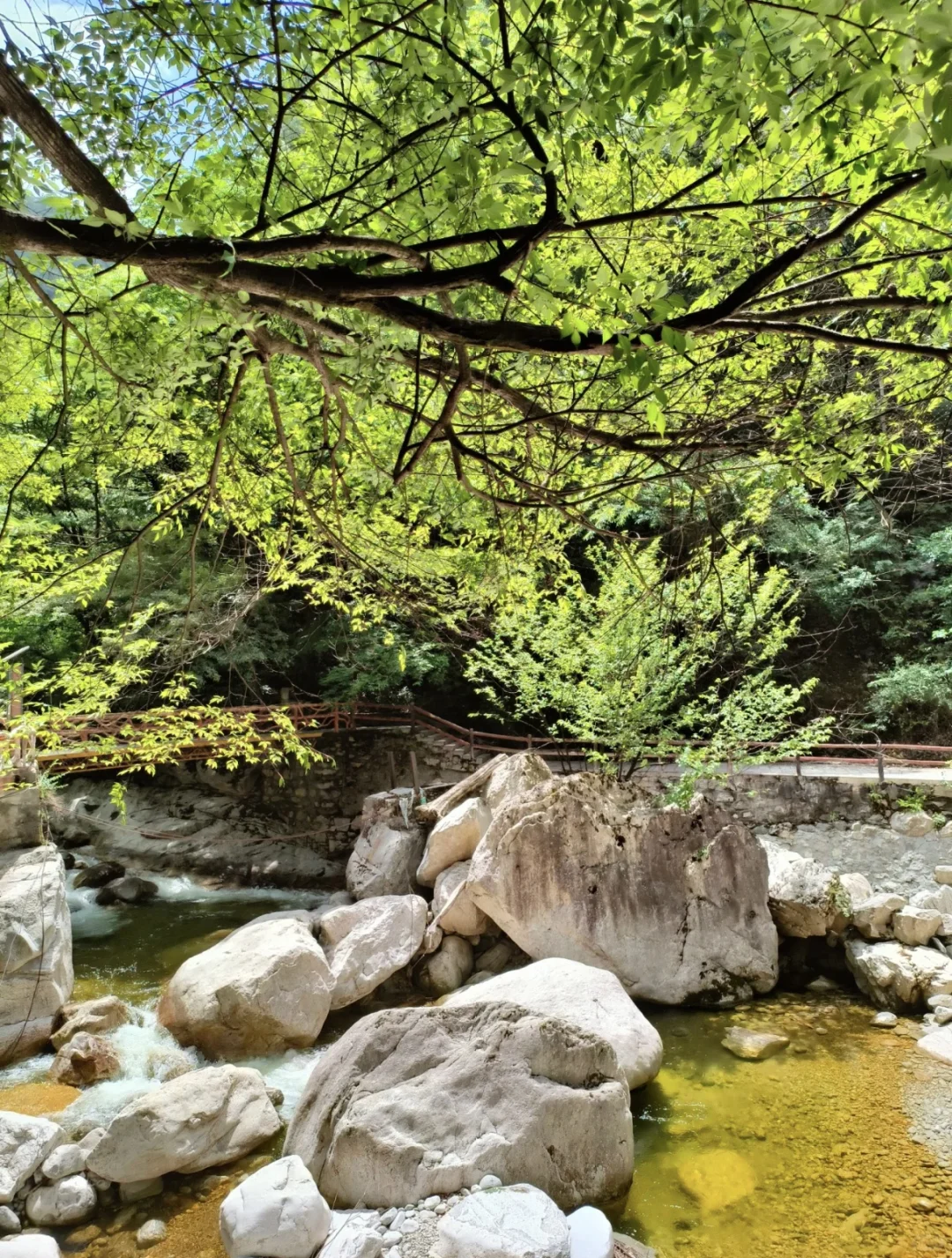 去山里感受20度的夏天🍃