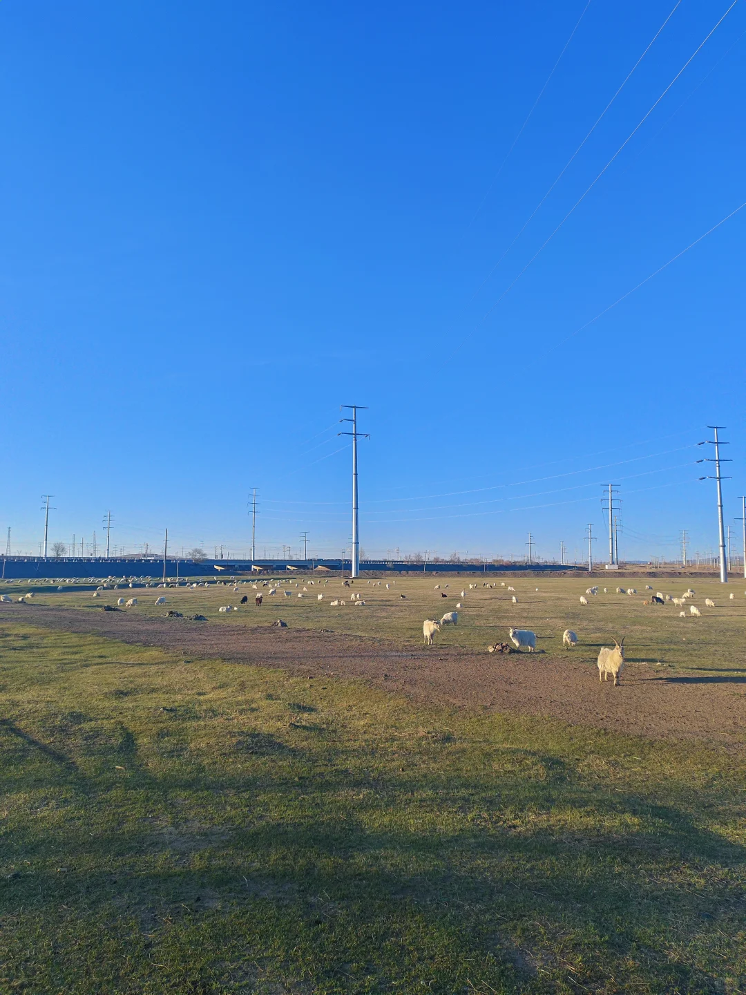 大学生勇闯乌兰察布🌋3天3晚超全攻略分享
