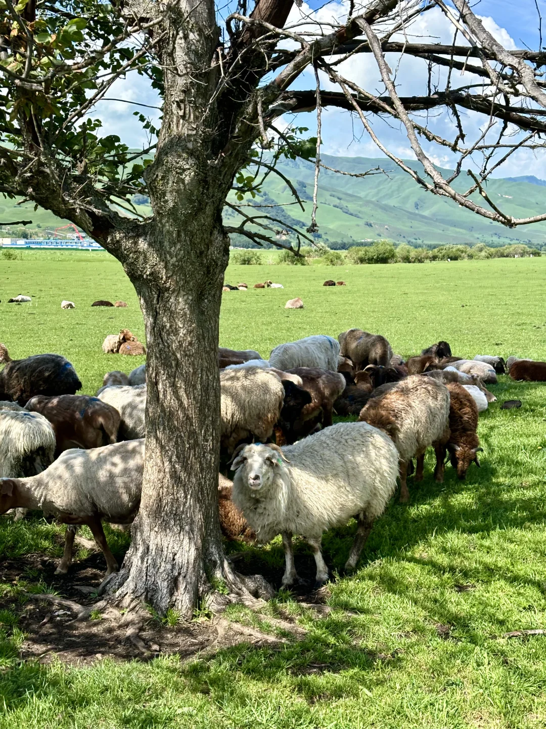 我的生命就应该浪费在这种地方……🍃