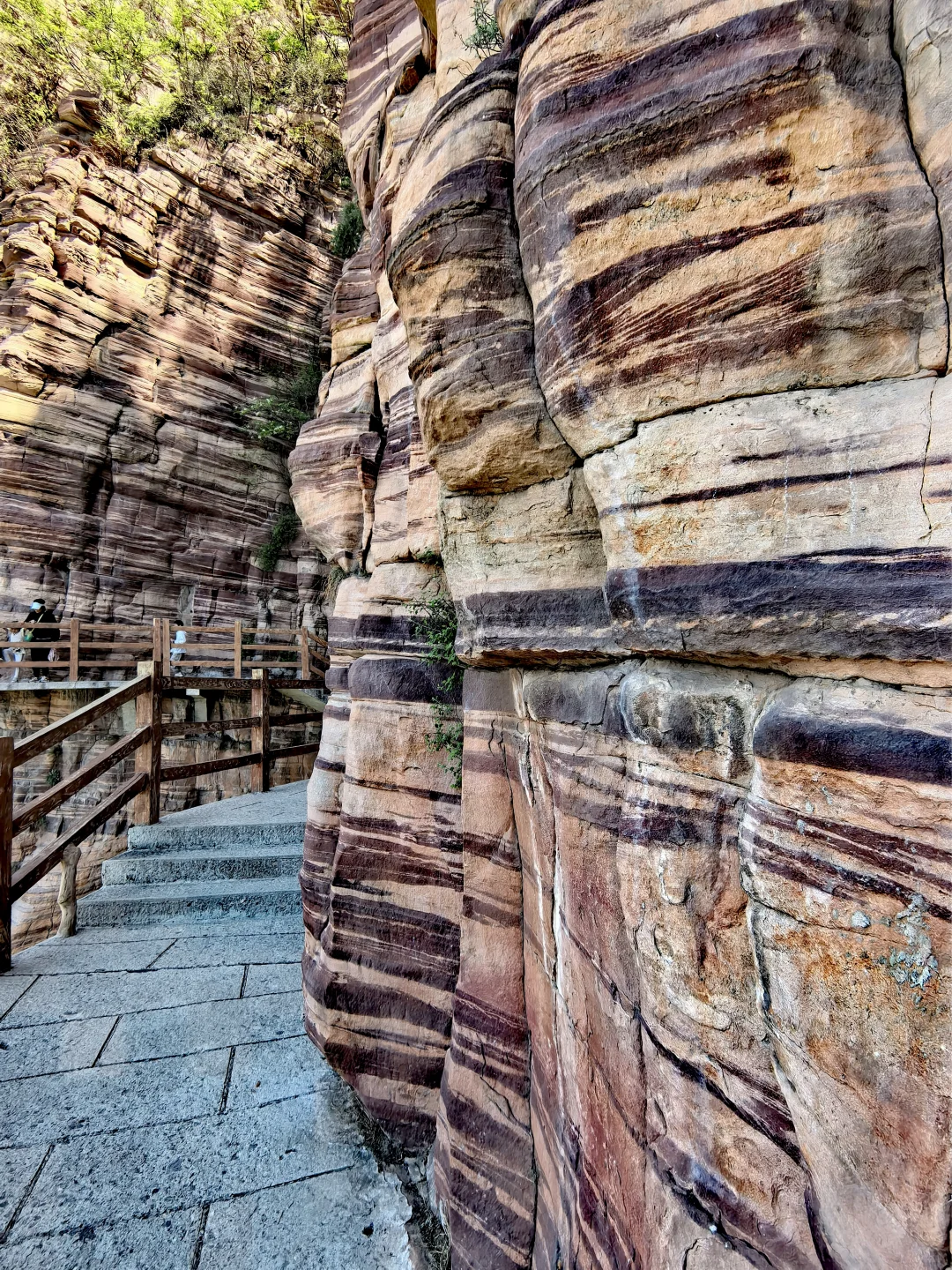 适合懒人的武安东太行