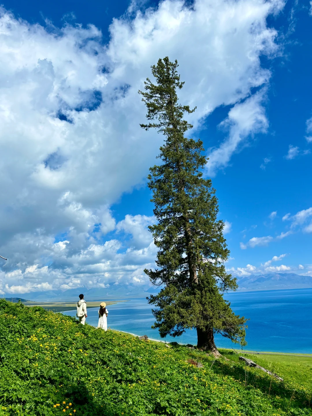 我的生命就应该浪费在这种地方……🍃