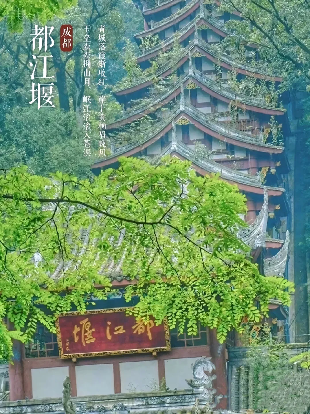 成都旅游🗺️攻略