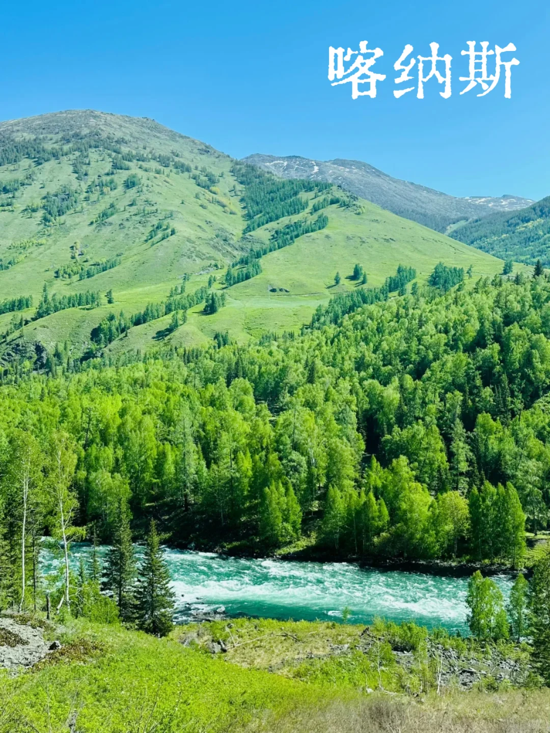 爆玩新疆！这个夏天一起去草原上撒野吧！