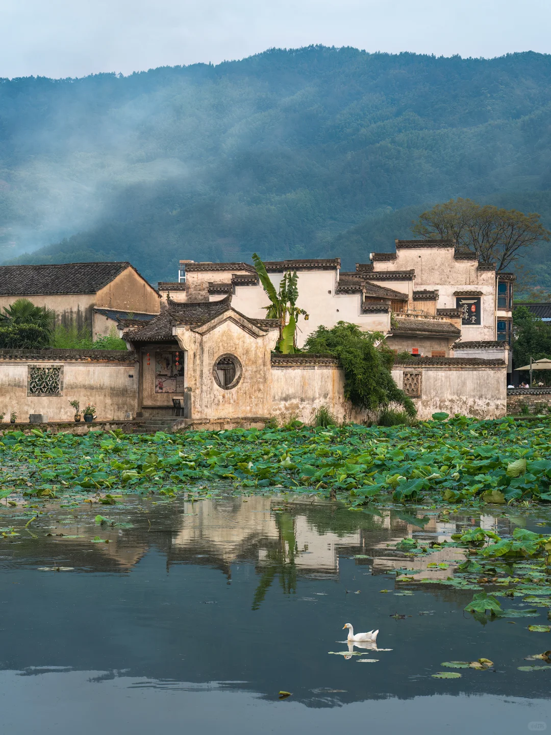 比起宏村，我更喜欢皖南这些小众古村落！