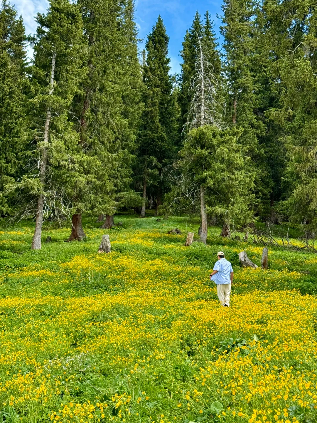 我的生命就应该浪费在这种地方……🍃