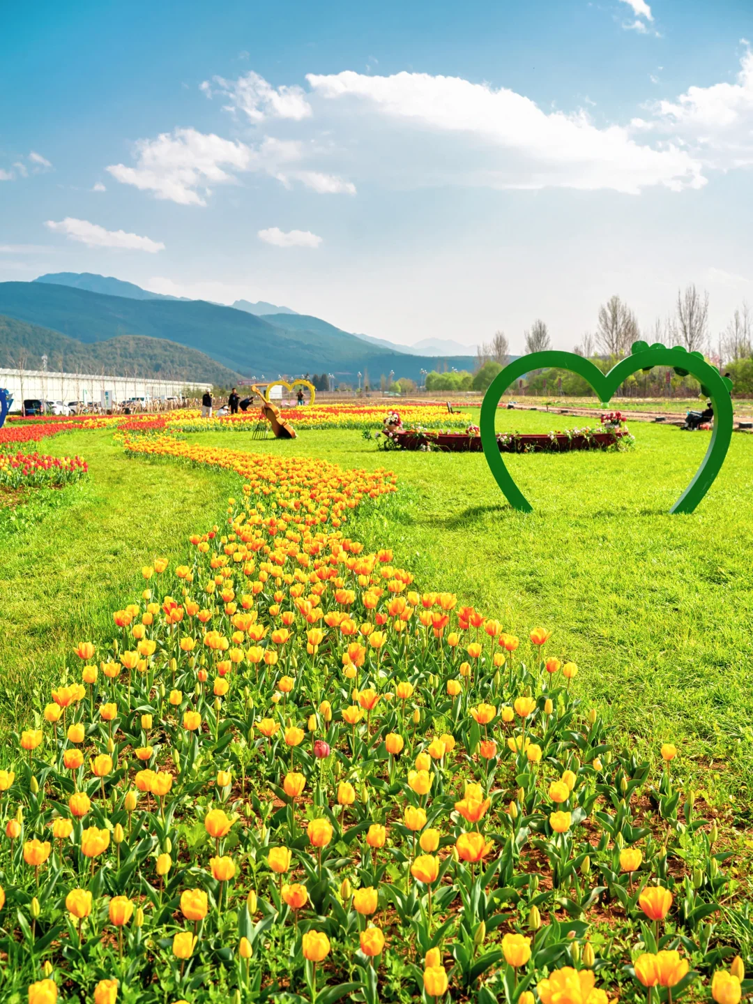 来云南旅游,我真心建议大家坐高铁!