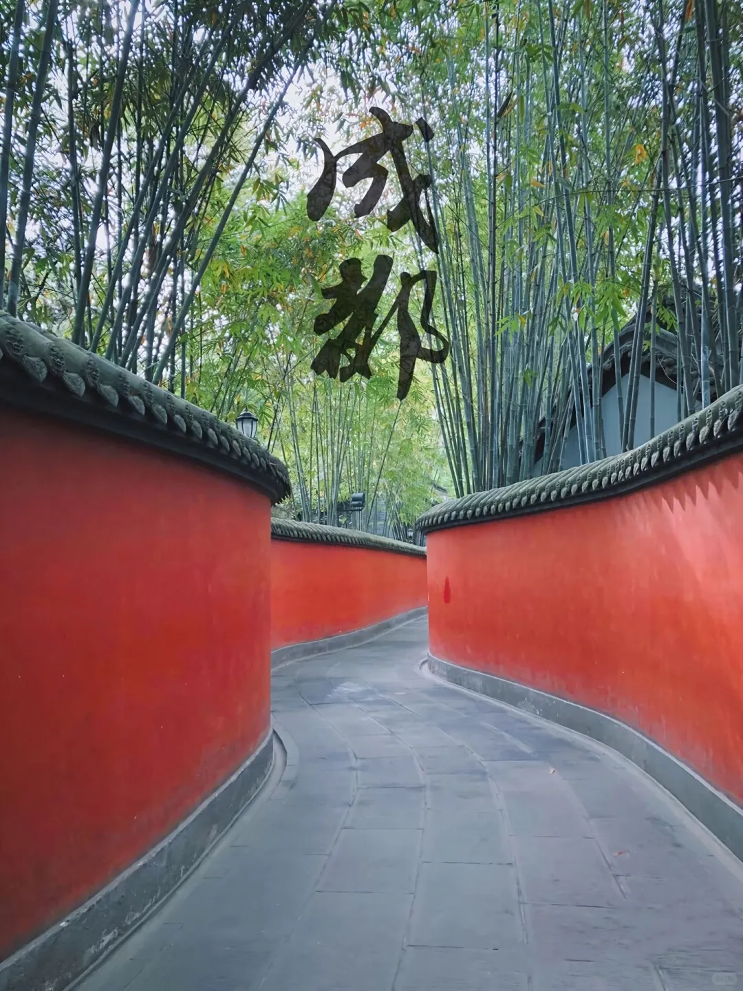 成都旅游🗺️攻略