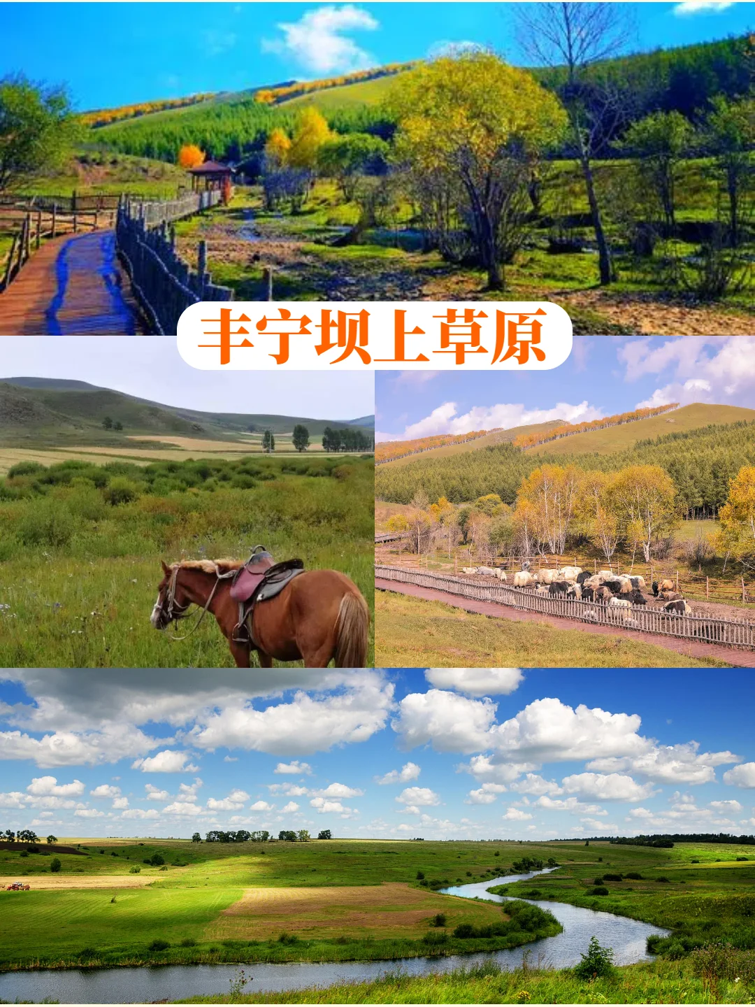 谁说草原只能骑马90%的人不知道的隐藏玩法