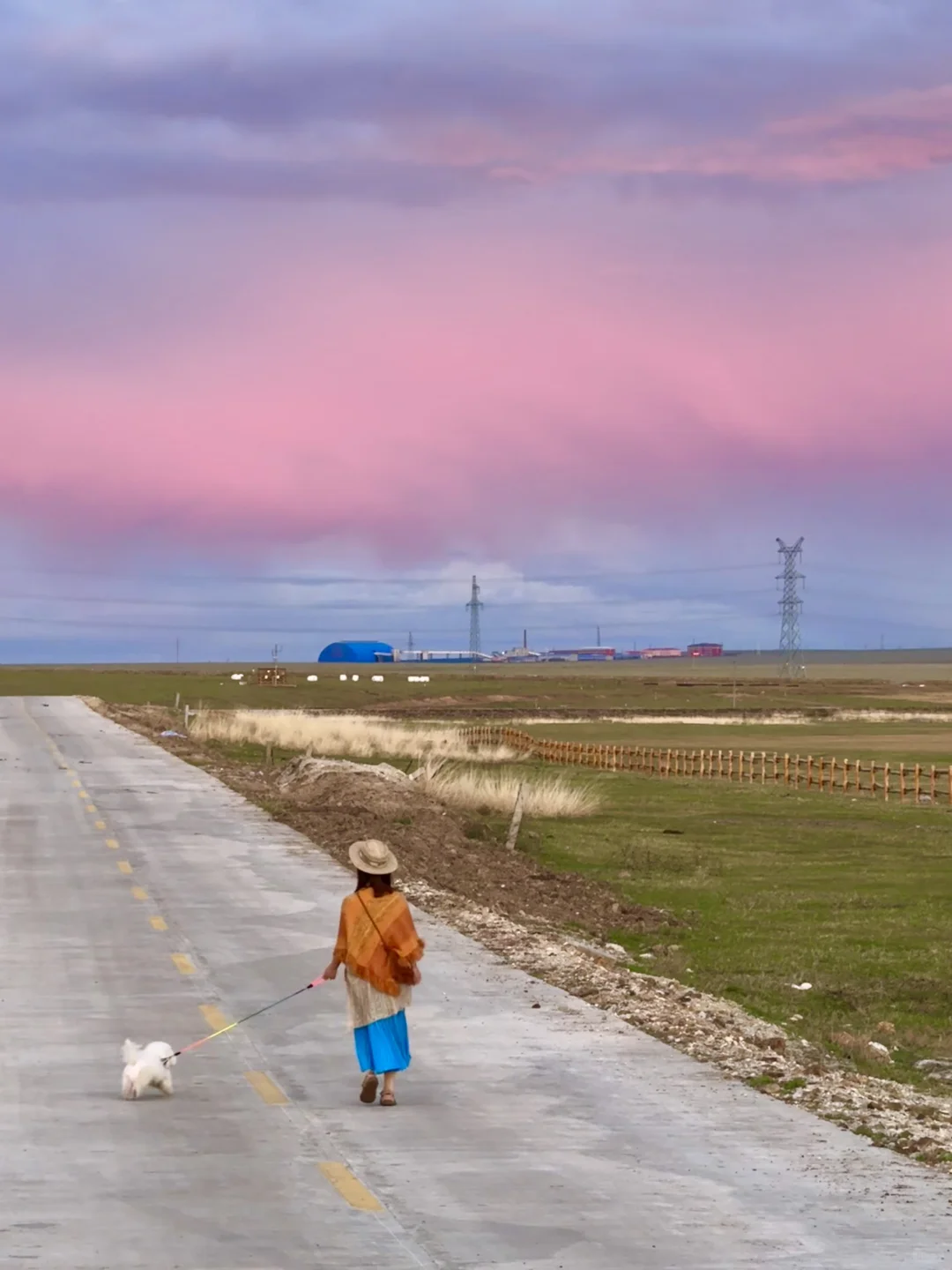 live呼伦贝尔这本书🐶小狗我呀又多读了一页