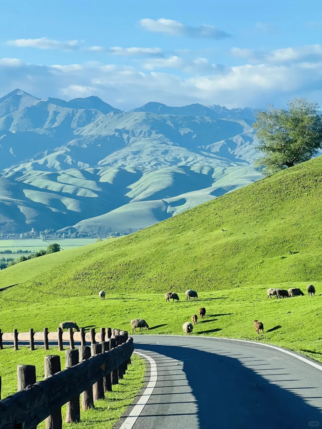 六月国内旅游天花板