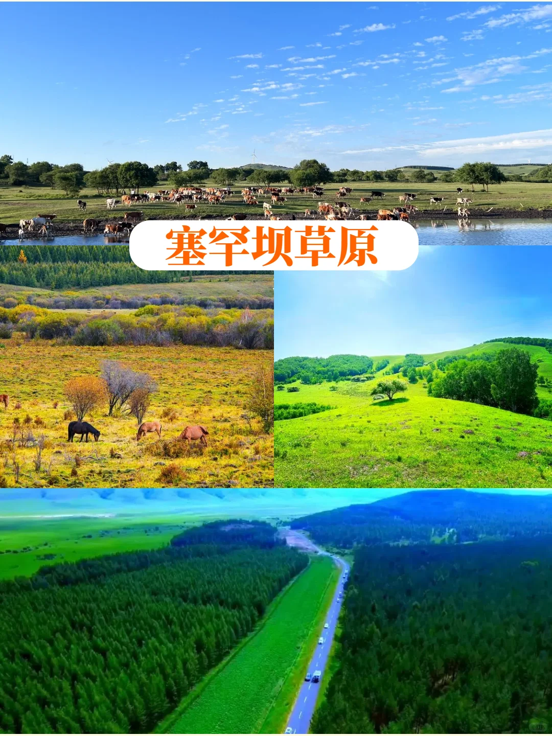 谁说草原只能骑马90%的人不知道的隐藏玩法