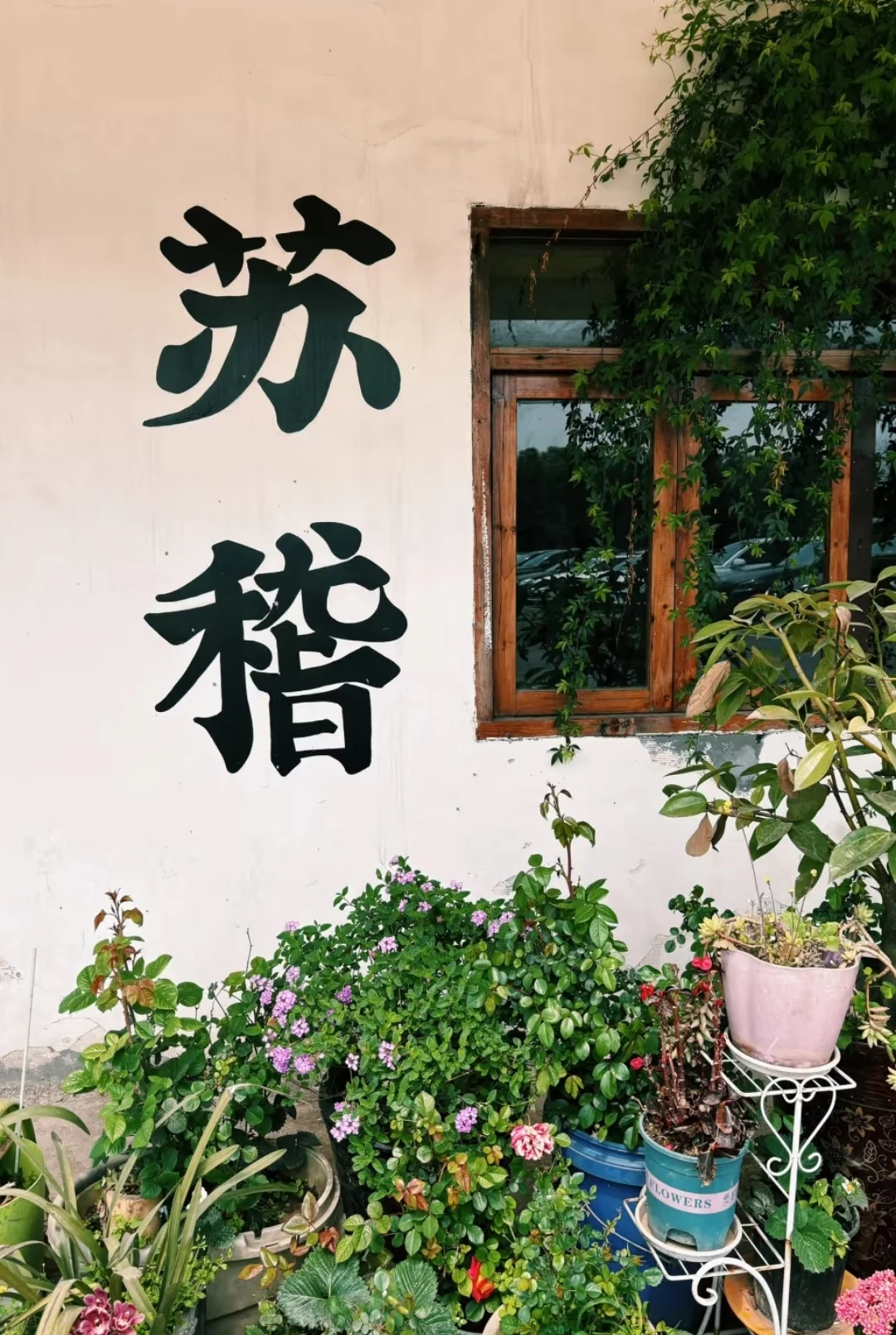 乐山旅游攻略 | 吃遍美食，玩遍宝藏景点！