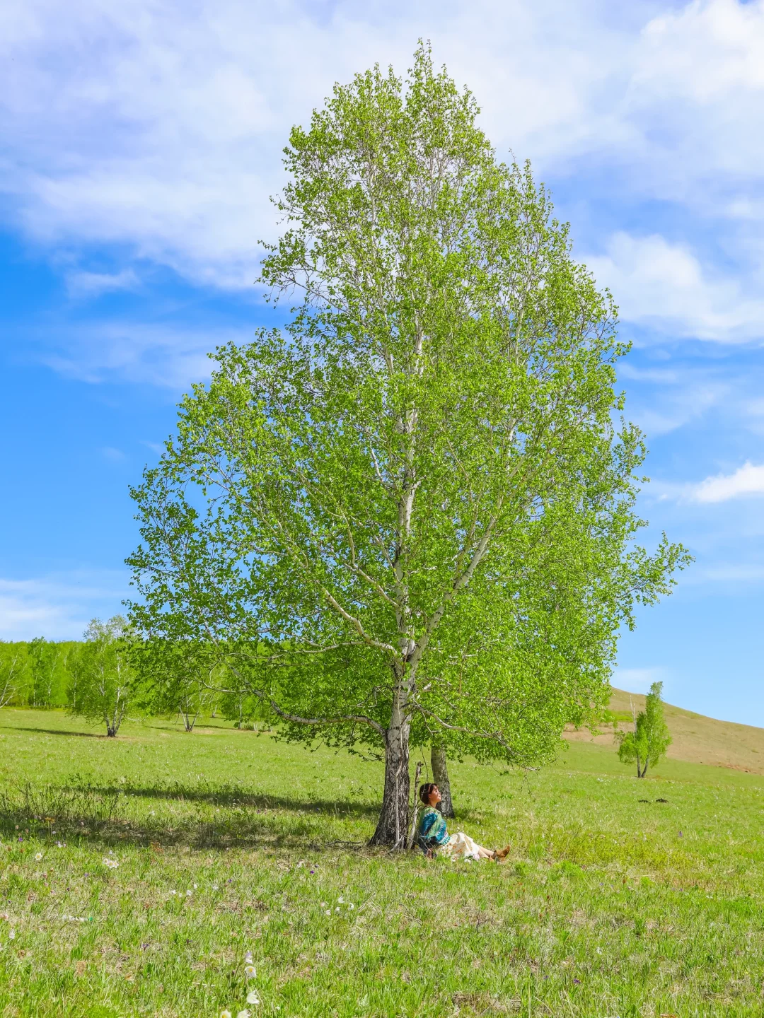 实话虽难听 这就是5月6月呼伦贝尔旅游现状