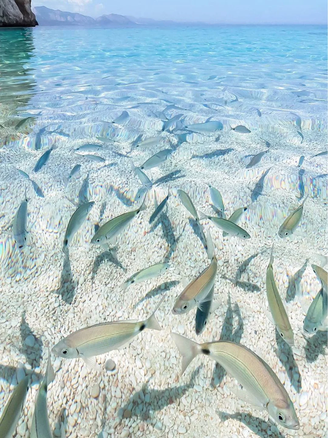 意大利旅游局你怎么不早说，全世界仅此一海