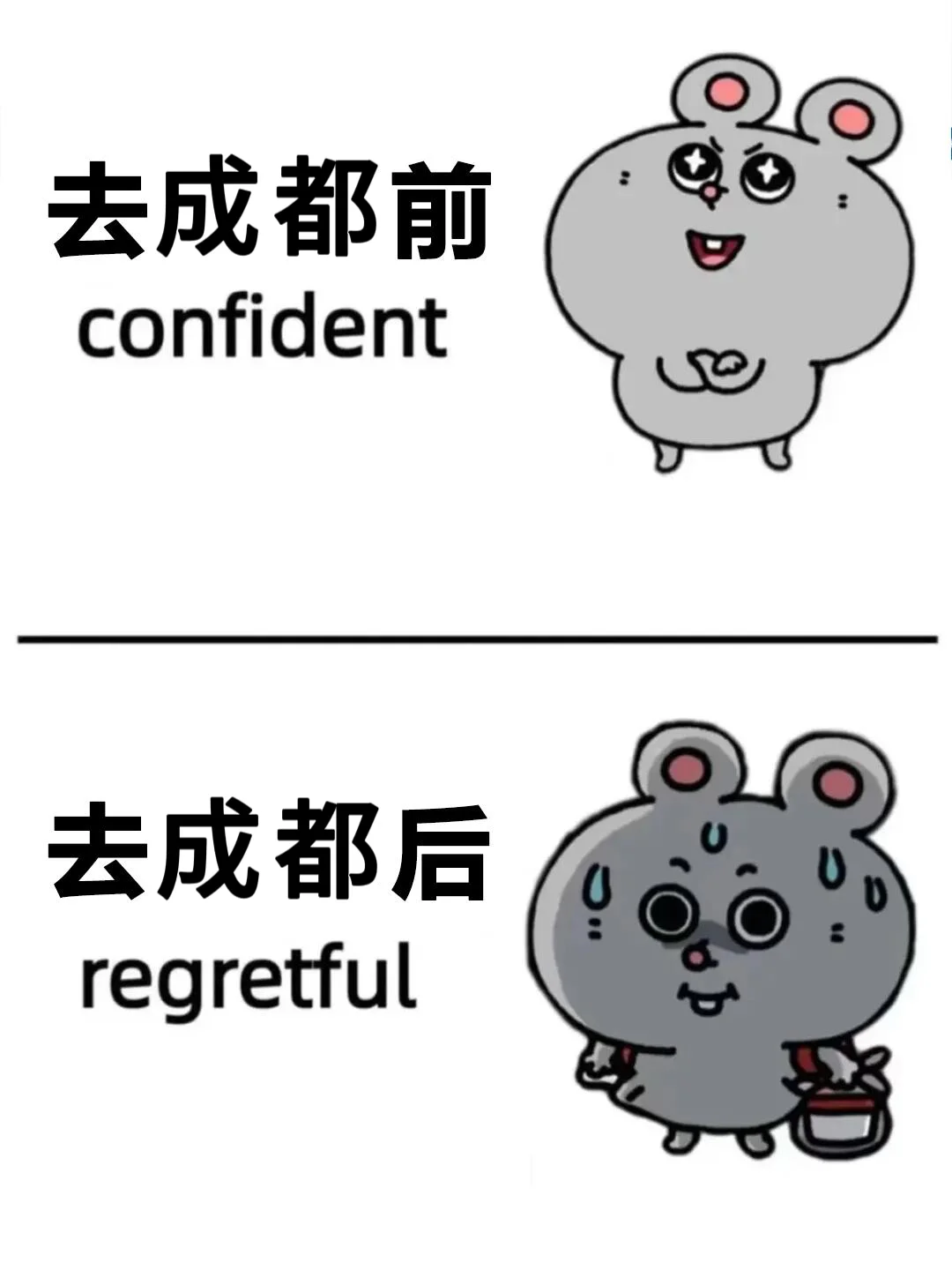 带了800去成都😭结果用了5000！避雷了