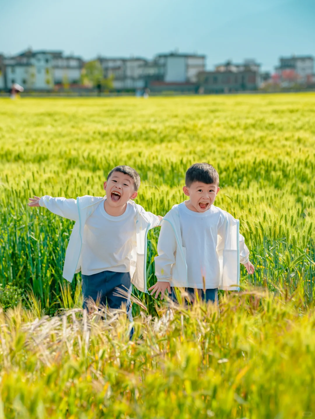 来云南旅游,我真心建议大家坐高铁!