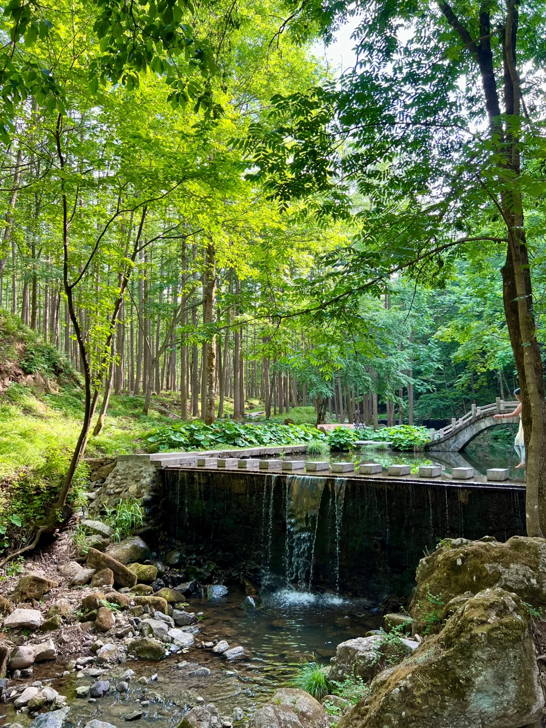 洛阳这个地方还是被严重低估了！！！