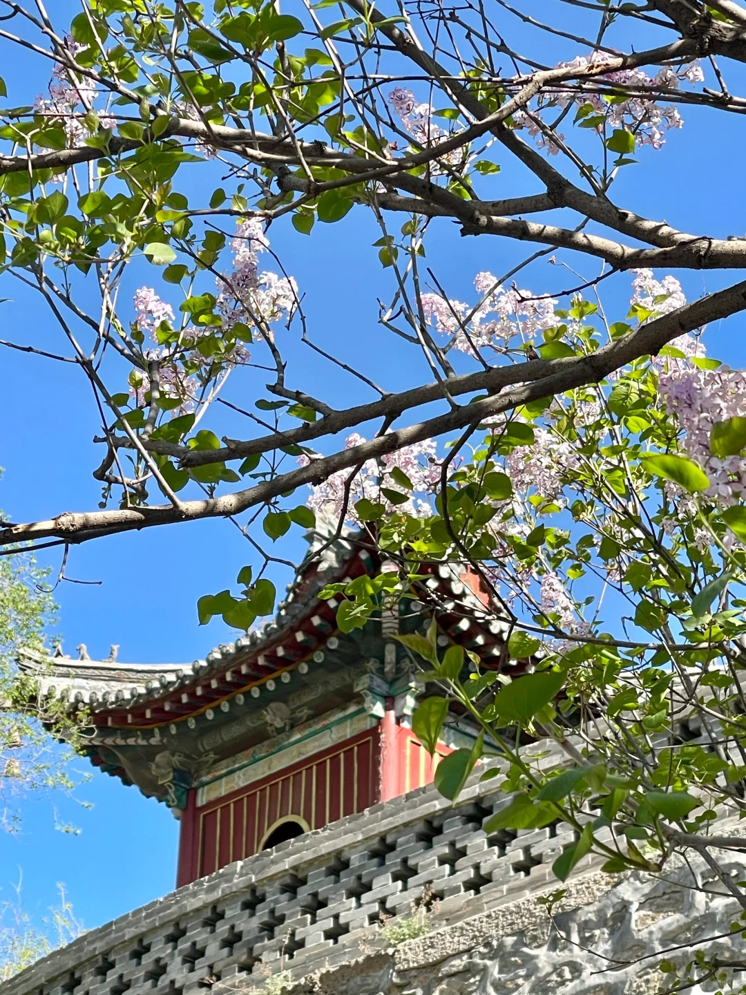 五台山 | 一半佛国一半山野