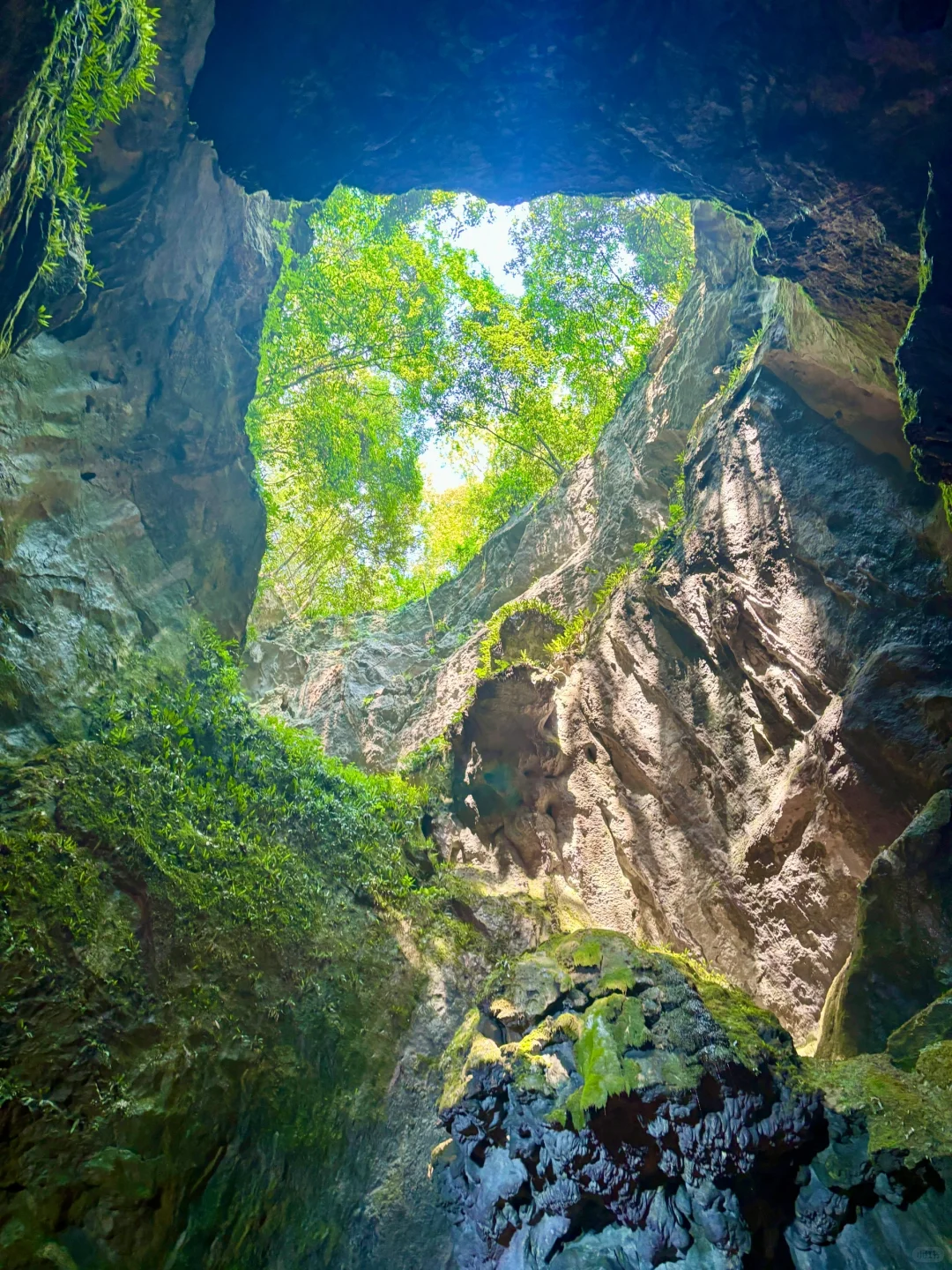 💯%出片宝藏森林秘境,避暑圣地🌴🌟🌟仙桥洞