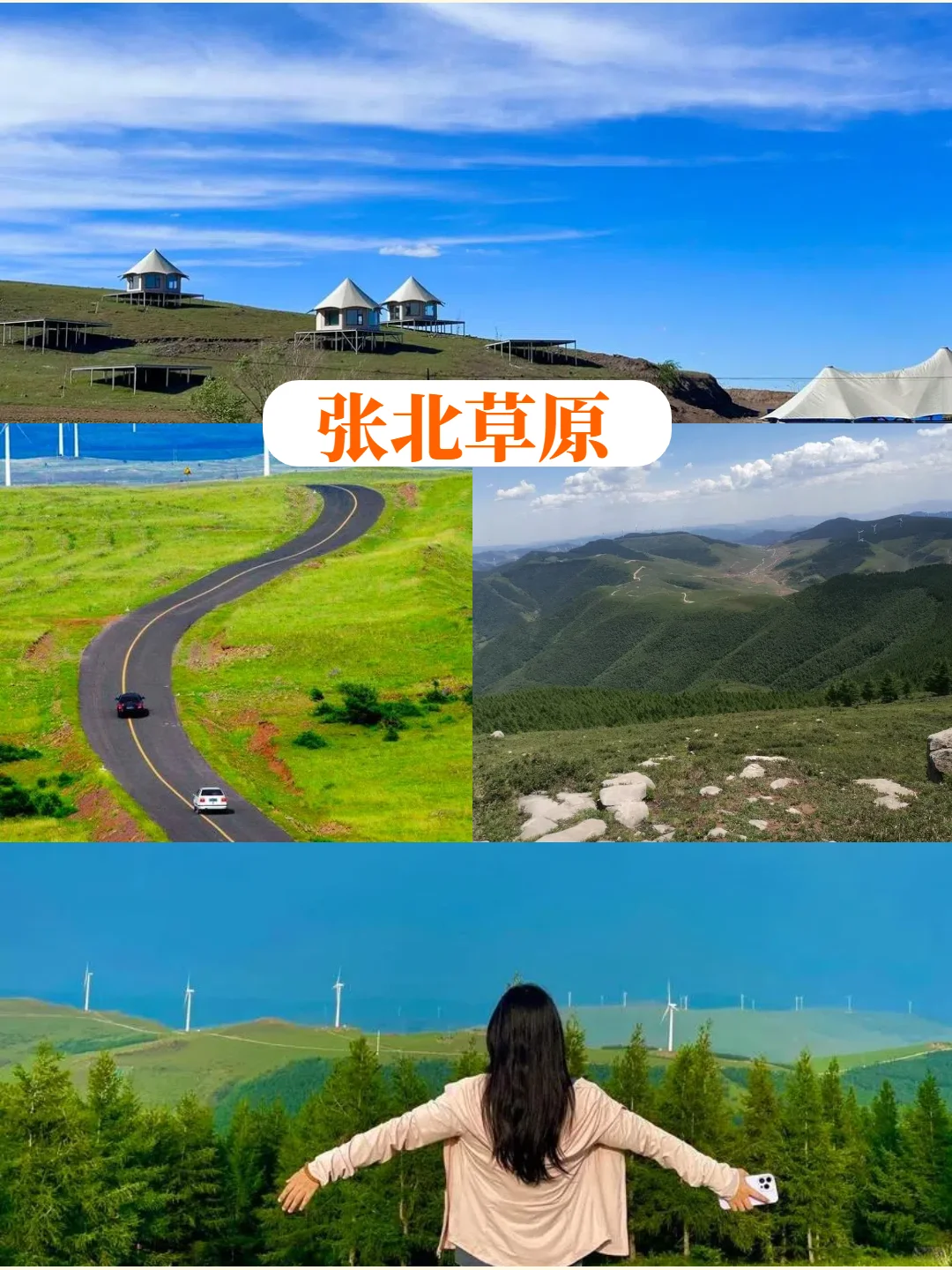 谁说草原只能骑马90%的人不知道的隐藏玩法