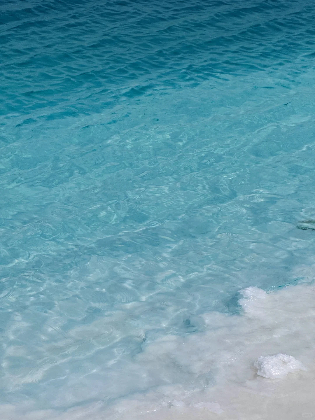 live）终于理解！为什么要夏天来大西北！！！