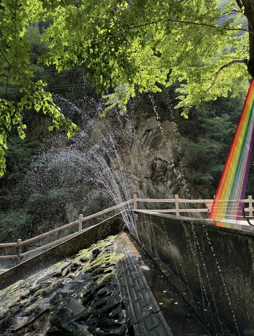去山里感受20度的夏天🍃