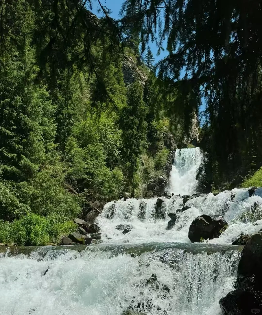 🌿端午限定！天山天池保姆级攻略