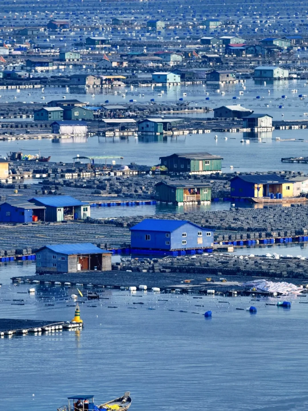 六月国内旅游天花板