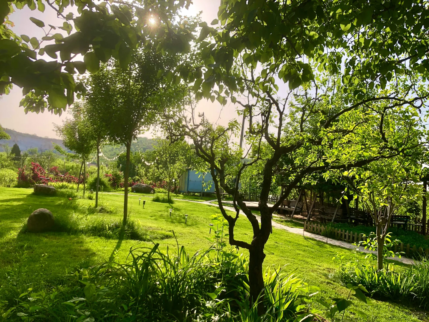 这里的风景真的太治愈了🍃