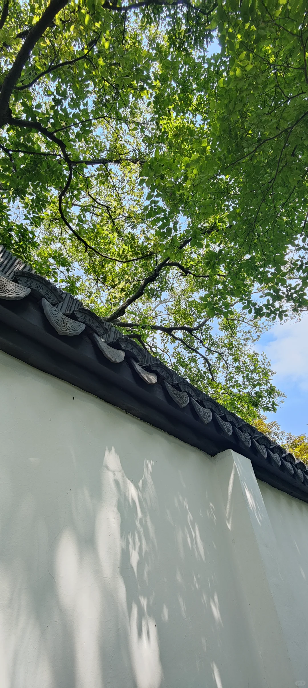 属于上海的小众天然氧吧