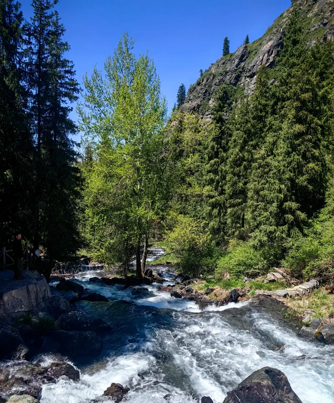 🌿端午限定！天山天池保姆级攻略