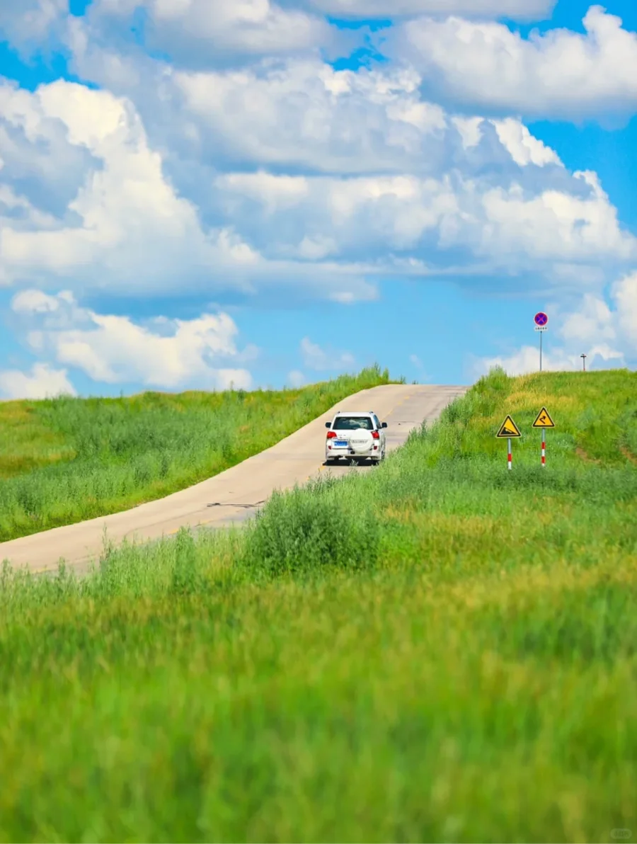 🍀逃离班味，去呼吸自然味道