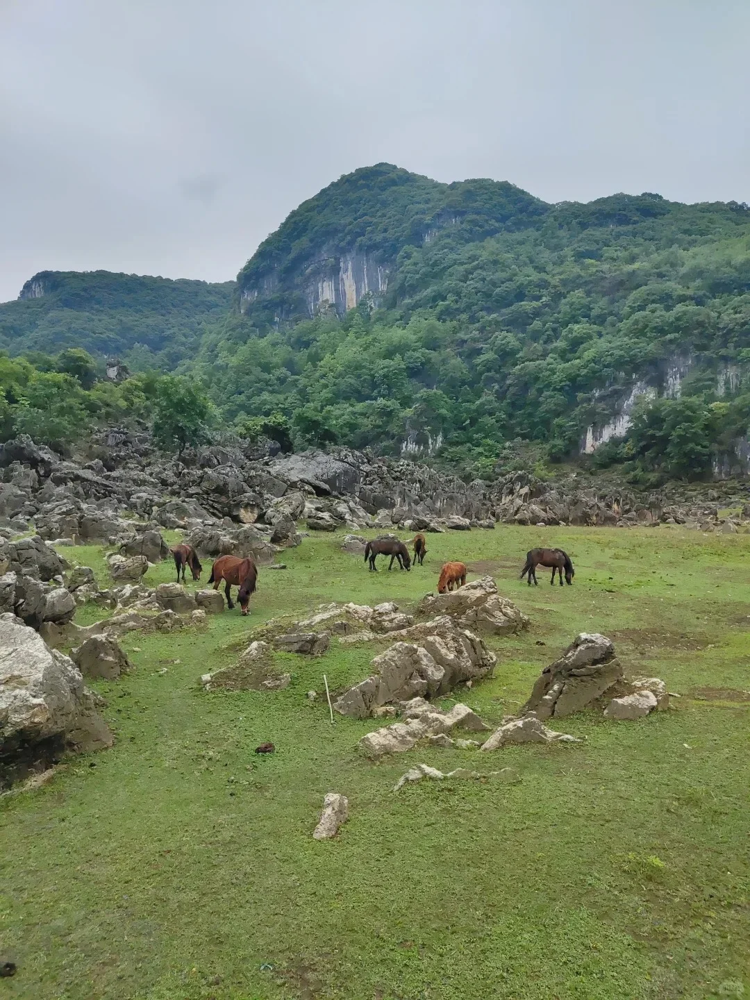 后悔才来😭这是贵州被严重低估的避暑小城